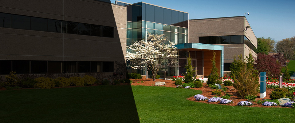 Vancouver Landscapers