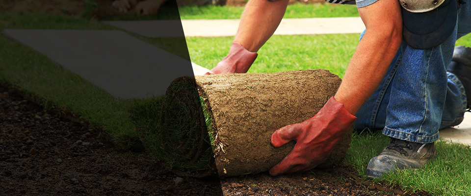 Vancouver Landscapers